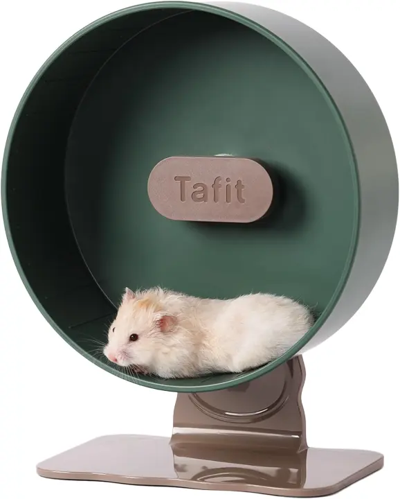 Ultra‑Quiet 10.2-inch Hamster Exercise Wheel — Silent Running Spinner